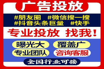 某企业SEM广告投放的ROI提升策略及效果展示